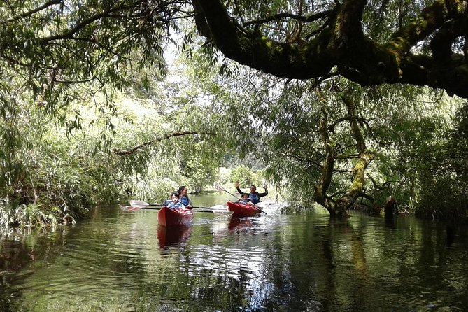 Kayak Laguna La Poza 1/2 Day - Additional Information