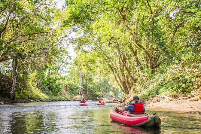 Kayak Safari - Meeting and Pickup