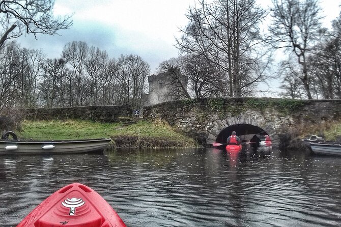 Kayak the Killarney Lakes From Ross Castle. Killarney. Guided. 2 Hours. - Scenic Highlights and Wildlife