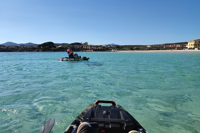 Kayak Tour in Golfo Aranci With Aperitif and Dolphin Watching - Environmental Responsibility on the Tour