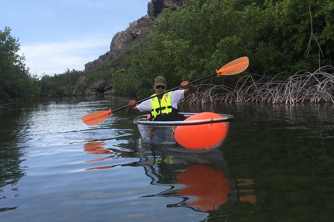 Kayaking & Tour Caracasbaai Curaçao - Accessibility and Participation