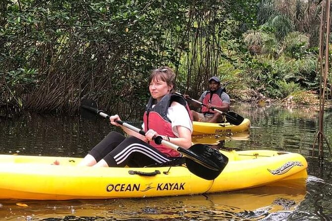 Kayaking Tour in Gandoca Lagoon Throug Mangrove Forest - Experience Highlights