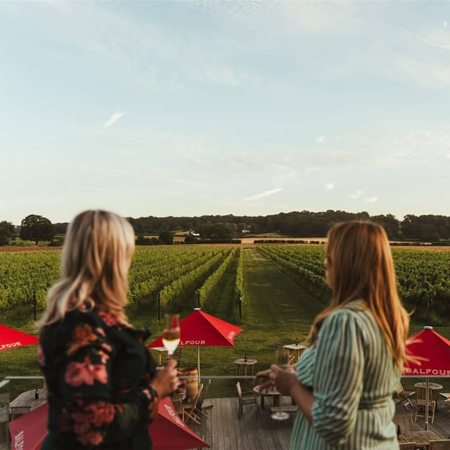 Kent: Balfour Vineyard Walk and Wine Tasting - Vine Life Cycle