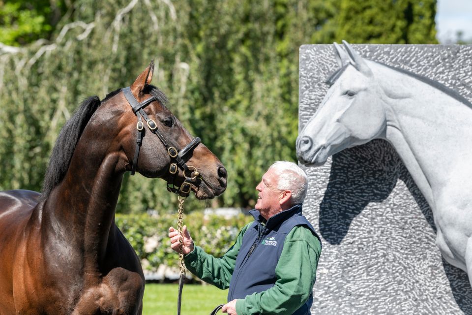 Kildare: Irish National Stud & Gardens - Gardens and Their Significance