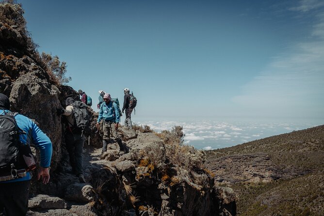 Kilimanjaro Climb, Lemosho Route (6-Day) - Customer Experiences and Feedback