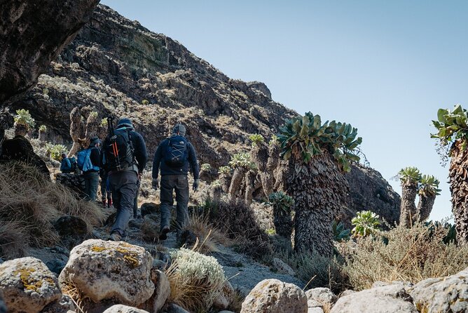 Kilimanjaro Climb, Machame Route (7-Day) - Included Services and Amenities