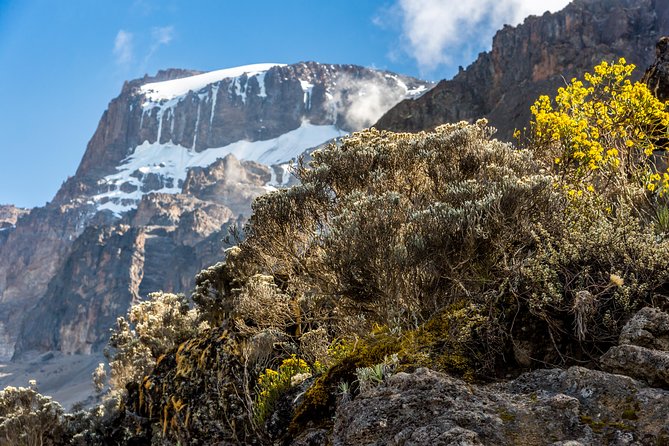 Kilimanjaro Climb, Rongai Route (7-Day) - Additional Costs
