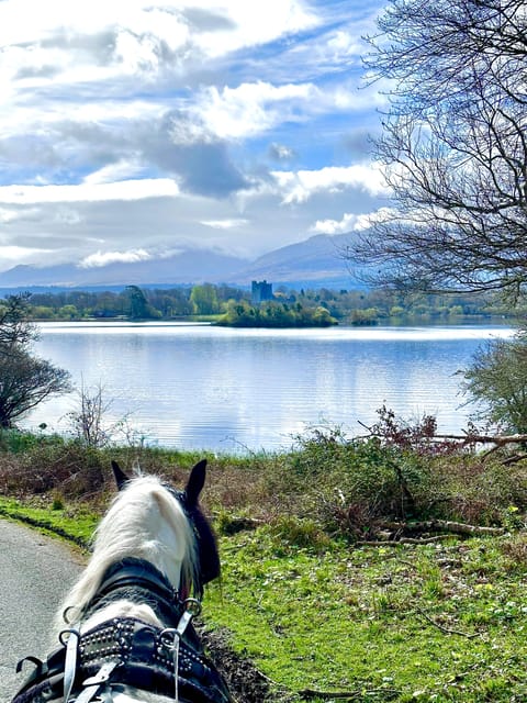 Killarney National Park Tour - Key Features of the Tour