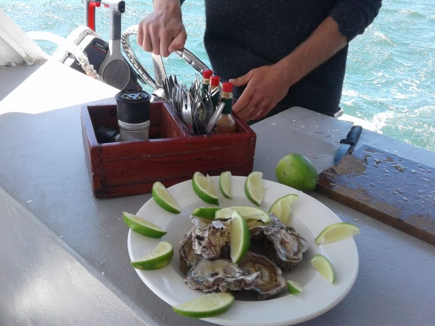 Knysna Lagoon Educational Oyster & White Wine Tasting Cruise - Itinerary Details