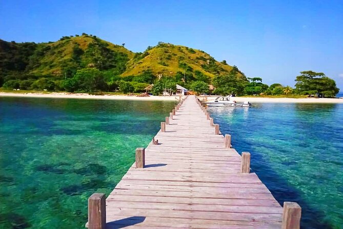 Komodo Tour 3D/2N Live on Board -Join Group Category-Share Cabin - Traveler Reviews and Insights