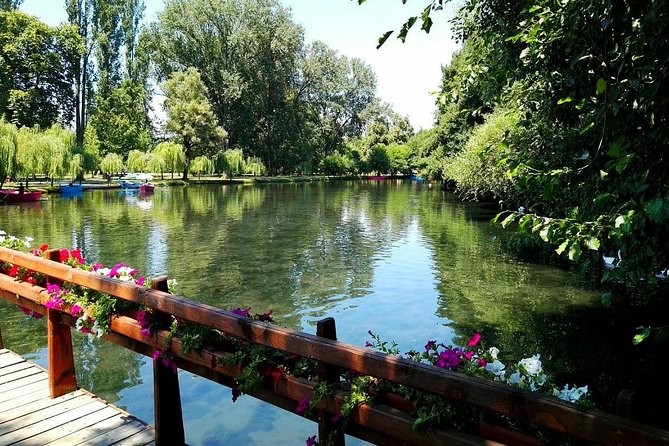 Korca and Pogradec Full-Day Group Tour  - Tirana - Nature Immersion at Driloni National Park