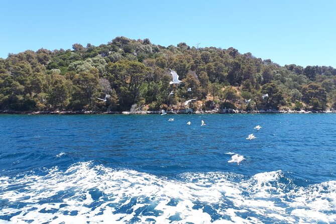 Kornati & Telascica Summer Boat Tour , Gratis Mask and Snorkel - Capacity and Accessibility