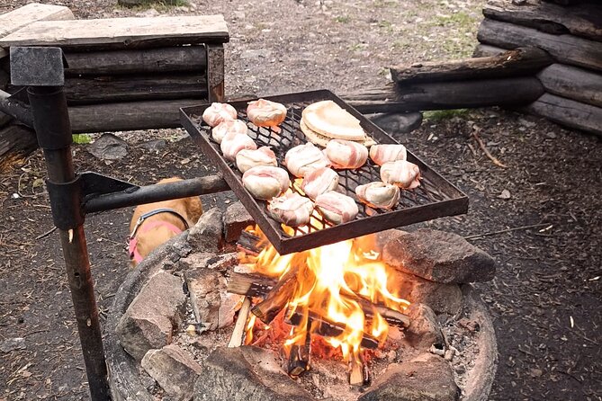 Korouoma National Park Sightseeing, Walking and BBQ - Customer Reviews and Ratings