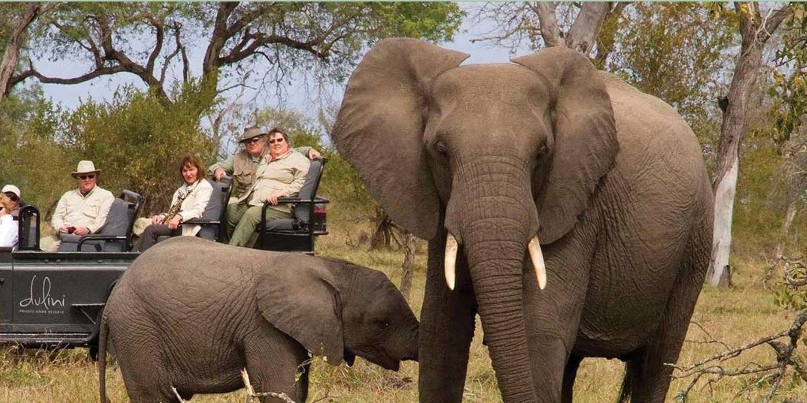 Kruger National Park 3 Day Safari Fr Johannesburg & Pretoria - Exploring Kruger National Park