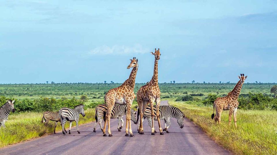 Kruger National Park 3 Days Best Ever Safari From Cape Town - Frequently Asked Questions