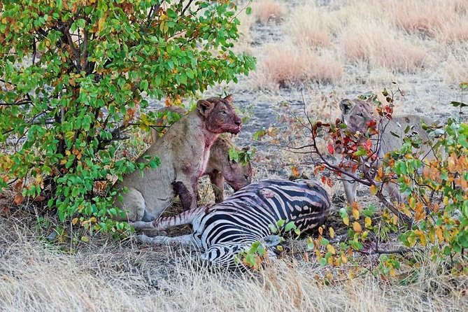 Kruger National Park Full Day Tour Minimum 2people - Wildlife Viewing Opportunities