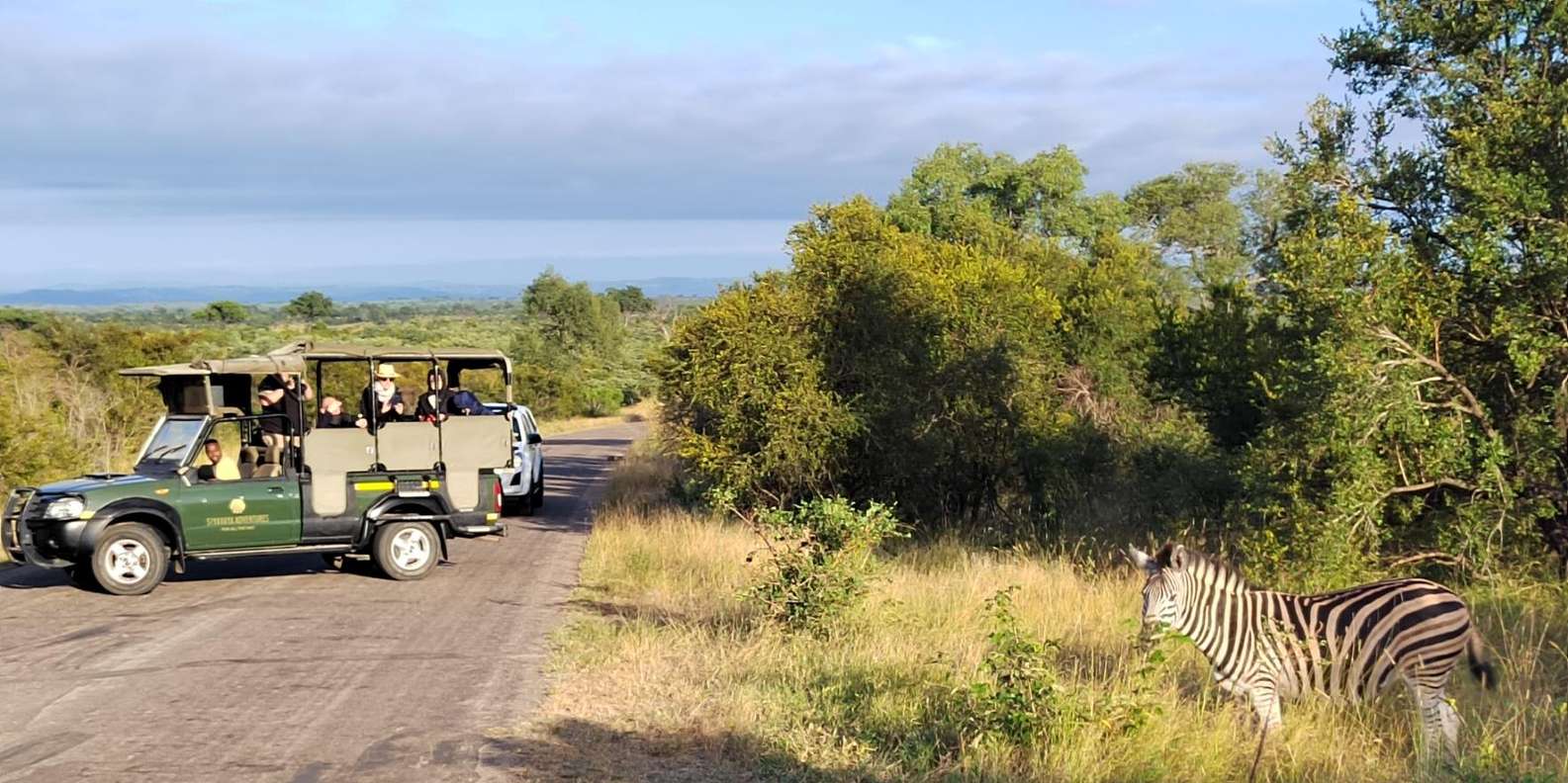 Kruger National Park Half Day - Detailed Itinerary