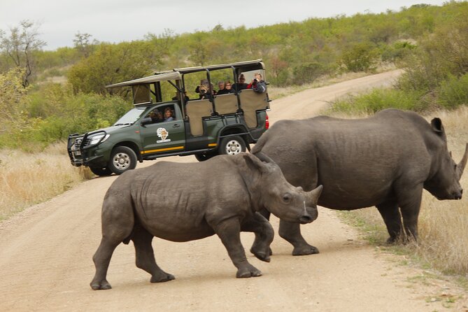 Kruger National Park Sunrise Morning Private Safari - Accessibility and Participation Details