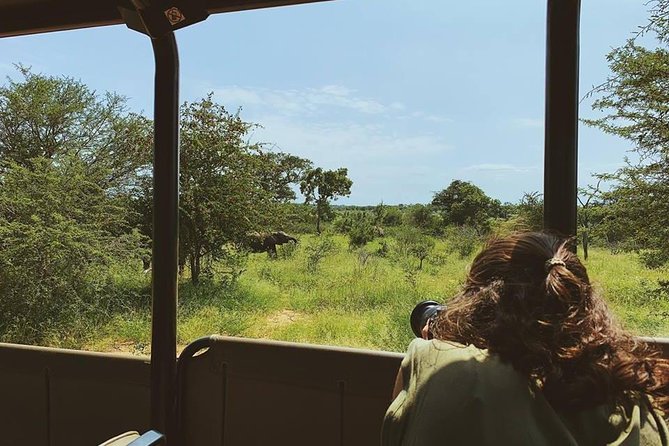 Kruger Park 2-Day Safari From Maputo (Open-Backed Safari Vehicle) - Customer Experience