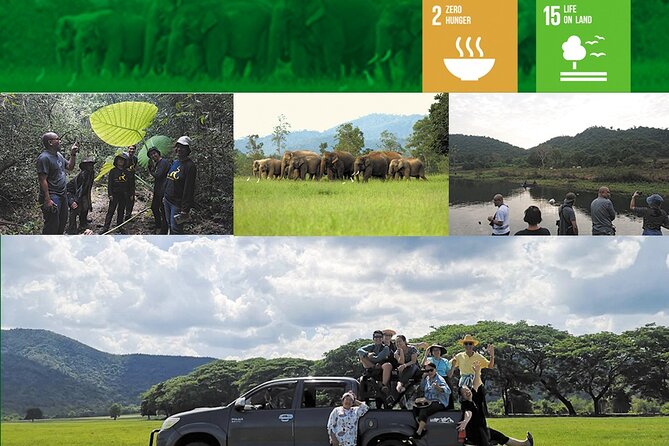 Kuiburi Wildlife Watching & Cookery With Host - Private Tour Benefits