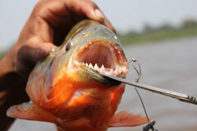 Kukamas Tribe, Butterfly Preserve & Sport Piranha Fishing - All Tickets Included - Pickup and Meeting Details