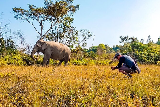 Kulen Elephant Forest by Private Tour - Pricing and Booking Information