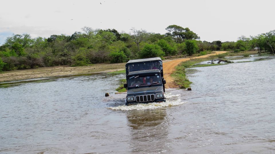 Kumana: Private 3-Hour Kumana National Park Safari - Itinerary Details