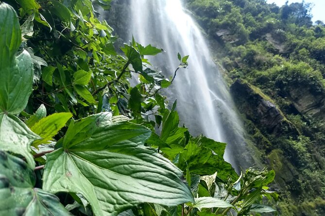 La Chorrera Cloud Forest & Waterfall Hike - Highlights of the Cloud Forest