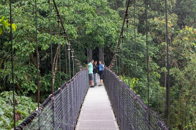 La Fortuna: Arenal Hanging Bridges Hiking Tour - Perfect for Families and Adventurers