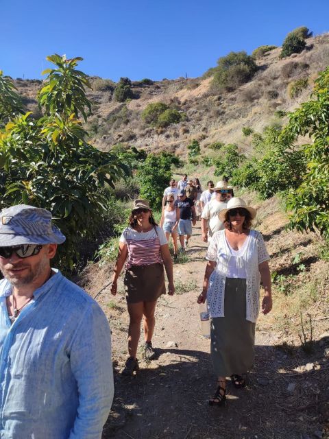 La Herradura Coffee Farm: Tour in Europe's Only Plantation - Organic Coffee Cultivation and Fruits