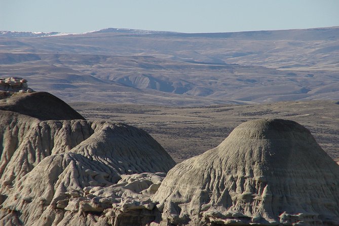 La Lioness Petrified Forest - Guided Experience