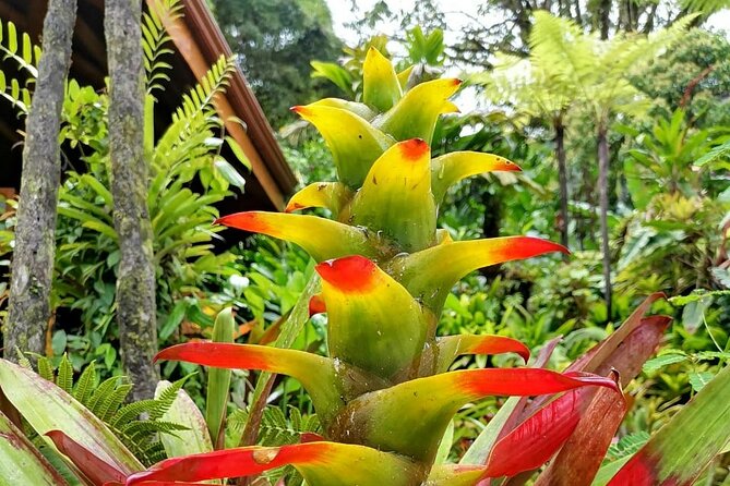 La Paz Waterfall Gardens Nature Park Full-Day Tour - Tour Schedule and Accessibility