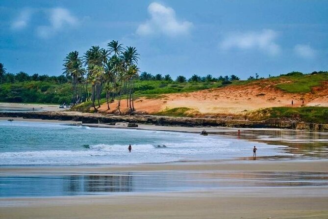 Lagoinha Beach Tour - Meal and Accessibility