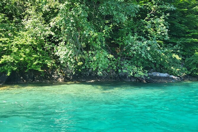 Lake Brienz Boat Tour for a Full Day! - Pricing