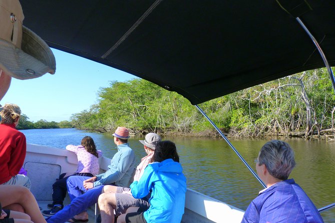 Lamanai Maya Ruin & New River Wildlife Adventure From Belize City - Wildlife Viewing on the New River