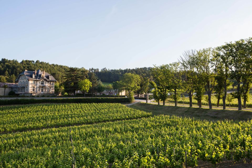 Languedoc: Tour and Tasting at Domaine De Baronarques - Historical Context