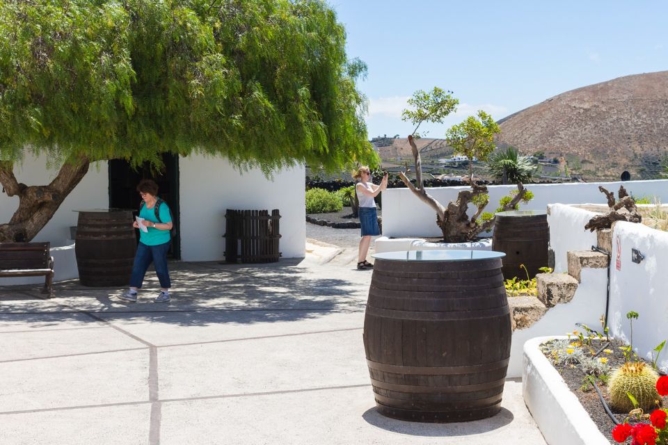 Lanzarote: Audio Guided Tour of the El Grifo Wine Museum - Historic Winery