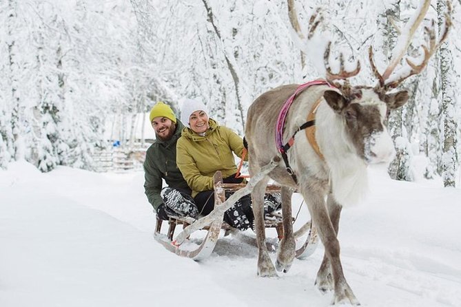 Lapland Reindeer Safari From Levi - Specific Experiences and Concerns