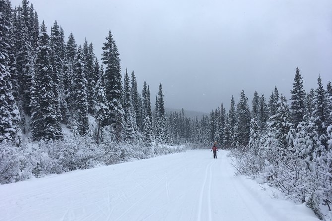 Learn to Cross Country Ski in Lake Louise - Meeting and Pickup Details
