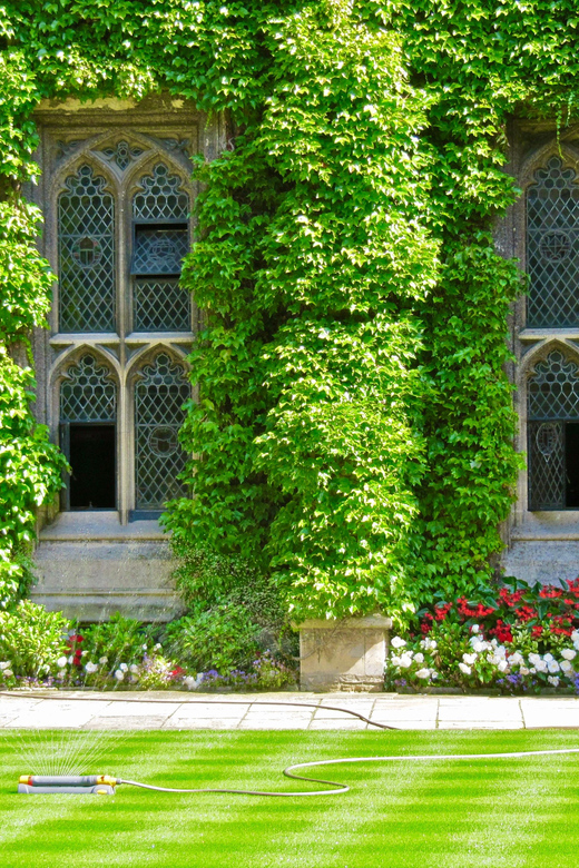 Lets Explore Oxford: Walking Tours - Guided Tour Experience