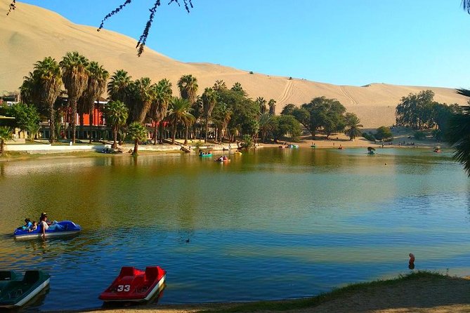 Lima: Ballestas Islands, Winery & Huacachina Oasis Private Tour - Winery Tour and Tasting