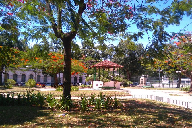 Little Africa And The City Of Samba: Where Dreams Come True - Visiting Cais Do Valongo