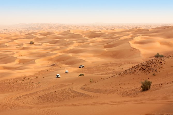 Liwa Full Day Desert Safari From Abu Dhabi - Comfortable Inclusions