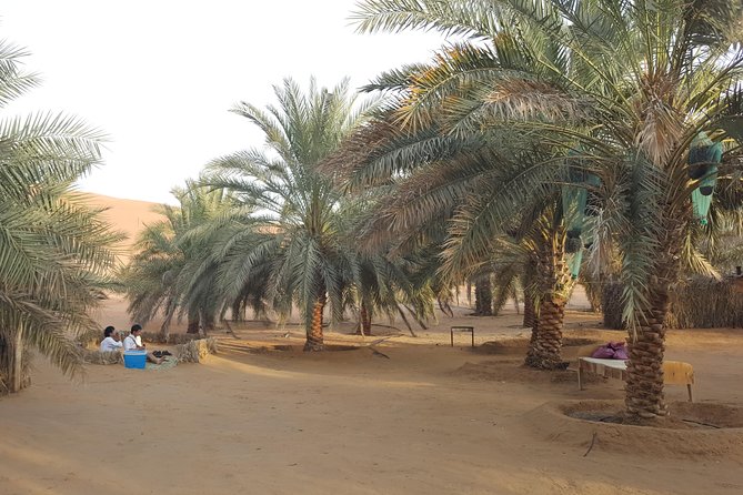 Liwa Oasis Desert Drive From Abu Dhabi - Essential Tour Information