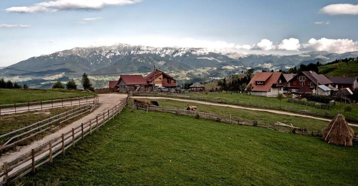 Local Experience in Brasov and Its Surroundings - Cultural and Culinary Delights