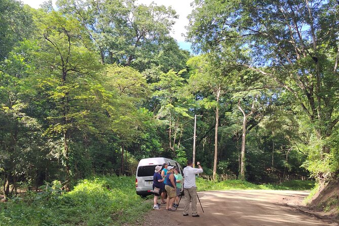 Local Sightseeing & Mangrove Tour - Customer Reviews Summary