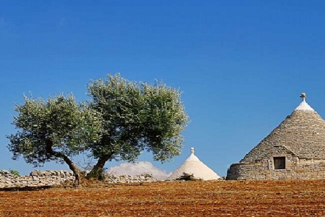 Locorotondo, Alberobello, Martina Franca Departing From Taranto - Inclusions and Exclusions