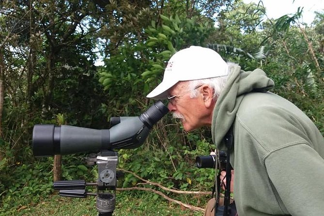 Looking for Toucans - Fascinating Nocturnal Creatures