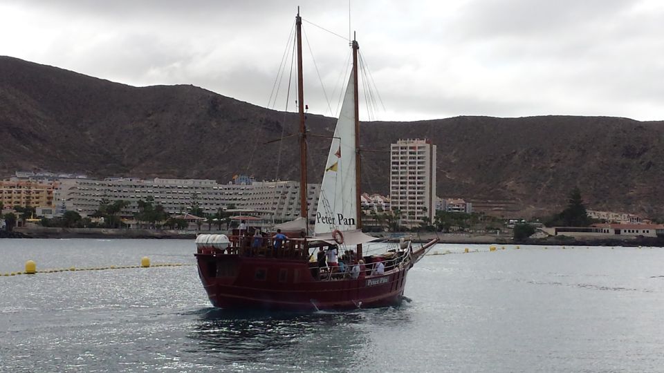 Los Cristianos: Whale-Watching Tour With Swimming Stop - Sailing Experience