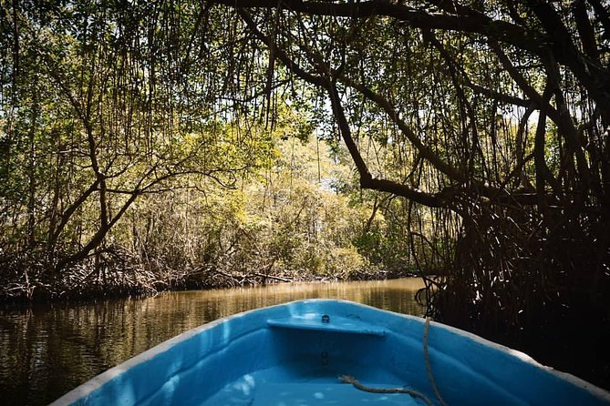 Los Haitises National Park Tour From Las Terrenas or Samana (Half Day Trip) - Pickup and Drop-off